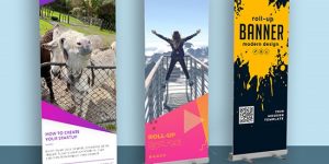 Image of Pull Up Banner.