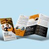 Image of an A5 folded brochure is a practical and effective tool for presenting information in a compact, portable, and visually appealing format.