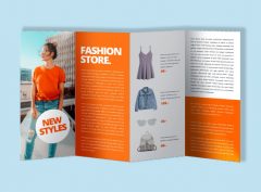 Image of Concertina Fold Flyers