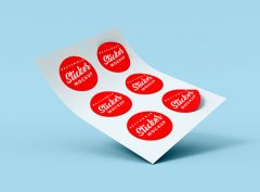 custom shape stickers printing